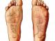 refleksoterapia_stopy_350_zl