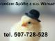 sprzedam_spolke_z_o_o_warszawa_507_