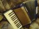 akordeon_sprzedam